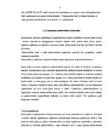 Prakses atskaite 'Prakses atskaite uzņēmumā', 22.