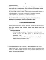 Prakses atskaite 'Prakses atskaite uzņēmumā', 25.