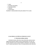 Prakses atskaite 'Prakses atskaite uzņēmumā', 41.