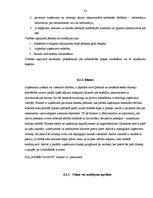 Prakses atskaite 'Prakses atskaite uzņēmumā', 43.