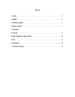 Referāts 'Amālija Zaltāne starp bērniem un lellēm', 2.