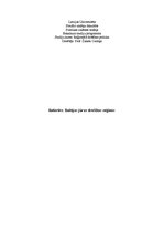 Referāts 'Baltijas jūras drošības reģions', 1.