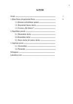 Referāts 'Roma', 1.