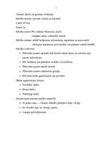 Konspekts 'Mācību stundas tēma - Saule', 1.