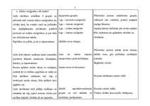 Konspekts 'Mācību stundas tēma - Saule', 3.