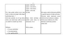 Konspekts 'Mācību stundas tēma - Saule', 4.