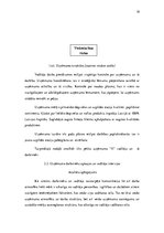 Referāts 'Vadības stili un to ietekme uz uzņēmumu darbību', 18.