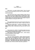 Konspekts 'Aspazijas dzejoļa "Parādība" analīze', 1.