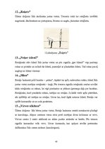 Diplomdarbs 'Rotaļu pielietošanas efektivitāte peldēšanas sākuma apmācībā 6 - 7 gadu veciem b', 40.