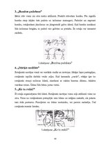 Diplomdarbs 'Rotaļu pielietošanas efektivitāte peldēšanas sākuma apmācībā 6 - 7 gadu veciem b', 44.