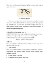 Diplomdarbs 'Rotaļu pielietošanas efektivitāte peldēšanas sākuma apmācībā 6 - 7 gadu veciem b', 48.