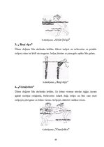 Diplomdarbs 'Rotaļu pielietošanas efektivitāte peldēšanas sākuma apmācībā 6 - 7 gadu veciem b', 49.