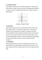 Diplomdarbs 'Rotaļu pielietošanas efektivitāte peldēšanas sākuma apmācībā 6 - 7 gadu veciem b', 54.