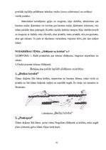 Diplomdarbs 'Rotaļu pielietošanas efektivitāte peldēšanas sākuma apmācībā 6 - 7 gadu veciem b', 61.