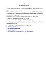 Referāts 'Eiropas tiesa: funkcijas, pilnvaras, praktiskā darbība', 16.