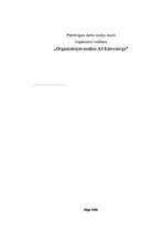 Referāts 'Organizācijas analīze a/s "Latvenergo"', 1.