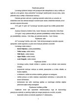 Referāts 'Organizācijas analīze a/s "Latvenergo"', 5.