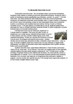 Referāts 'Krusta kalns Lietuvā', 4.