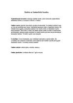 Konspekts 'Stafete ar basketbola bumbu', 1.