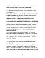 Referāts 'Latvija Eiropas Savienības procesos', 20.