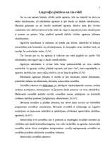 Referāts 'Agresijas ietekme uz mācību procesu', 5.