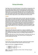 Referāts 'Čehija', 20.