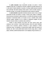 Referāts 'Ēnu ekonomika', 6.