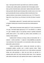 Prakses atskaite 'Prakses atskaite finanšu analīzē', 4.