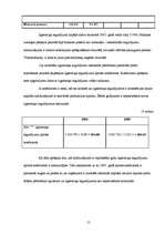 Prakses atskaite 'Prakses atskaite finanšu analīzē', 15.