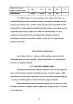 Prakses atskaite 'Prakses atskaite finanšu analīzē', 20.