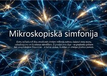 Prezentācija 'Bioloģiskā elektrība: neirona iekšējais kosmoss', 14.