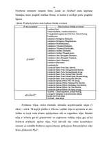 Biznesa plāns 'Biznesa plāns frizētavai', 10.