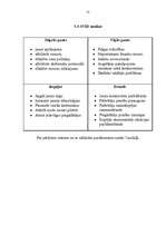 Biznesa plāns 'Biznesa plāns frizētavai', 15.