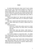 Prakses atskaite 'Mākslas galerija', 2.