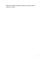 Prakses atskaite 'Mākslas galerija', 9.