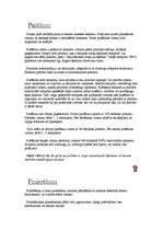 Konspekts 'Koka izstrādājumu virsmas apstrāde', 3.