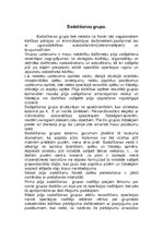 Konspekts 'Sabiedriskās kartības nodrošināšana masu pasākumos', 16.