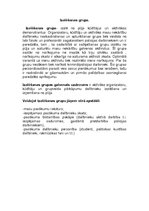 Konspekts 'Sabiedriskās kartības nodrošināšana masu pasākumos', 30.