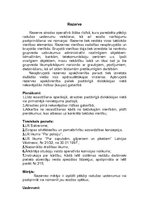 Konspekts 'Sabiedriskās kartības nodrošināšana masu pasākumos', 31.