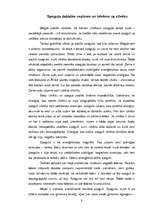 Referāts 'Spogulis', 8.