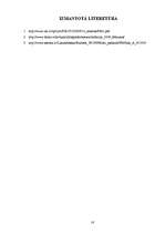 Referāts 'Latvijas 2009.gada budžeta analīze', 16.