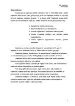 Biznesa plāns 'Biznesa plāns', 4.