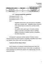 Biznesa plāns 'Biznesa plāns', 8.