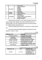 Biznesa plāns 'Biznesa plāns', 11.