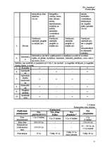 Biznesa plāns 'Biznesa plāns', 17.