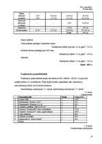 Biznesa plāns 'Biznesa plāns', 26.