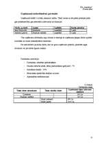 Biznesa plāns 'Biznesa plāns', 29.