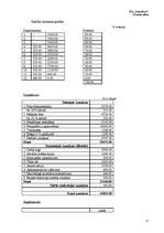 Biznesa plāns 'Biznesa plāns', 33.