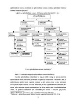 Referāts 'Ekonomiskās globalizācijas ietekme uz Latvijas uzņēmējdarbības vidi', 21.