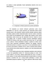 Referāts 'Ekonomiskās globalizācijas ietekme uz Latvijas uzņēmējdarbības vidi', 40.